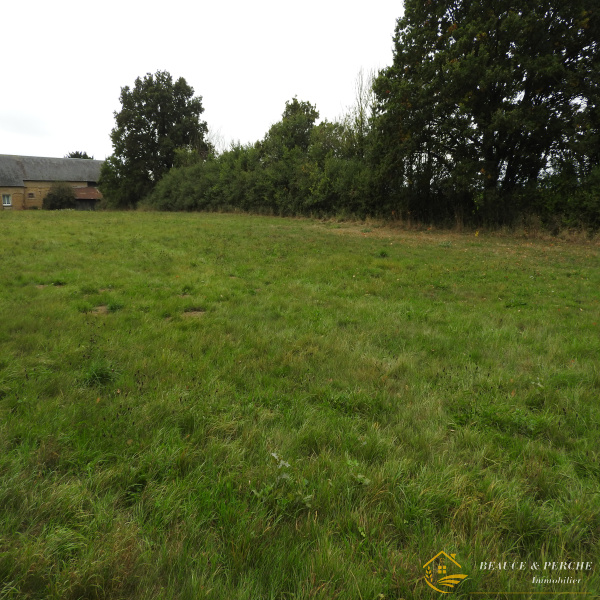 Offres de vente Terrain Brou 28160
