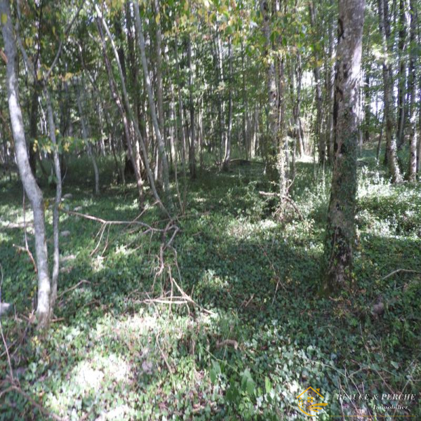 Offres de vente Terrain Happonvilliers 28480