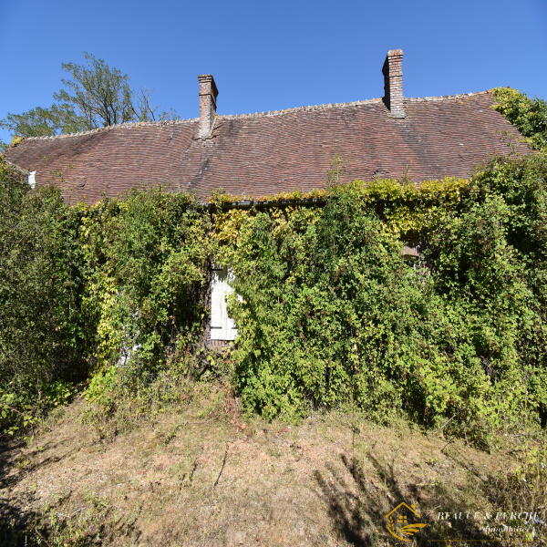 Offres de vente Maison Illiers-Combray 28120