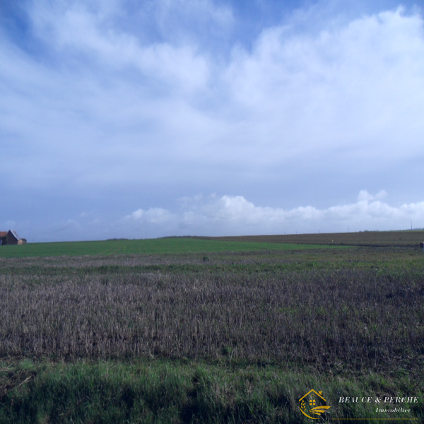 Offres de vente Terrain Illiers-Combray 28120